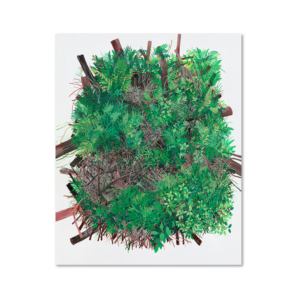 박지혜ㅣVine Landscape #8 tree moss