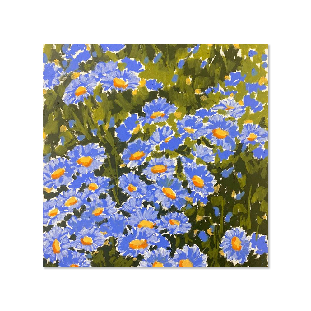 아일렛솔 | Blue flower