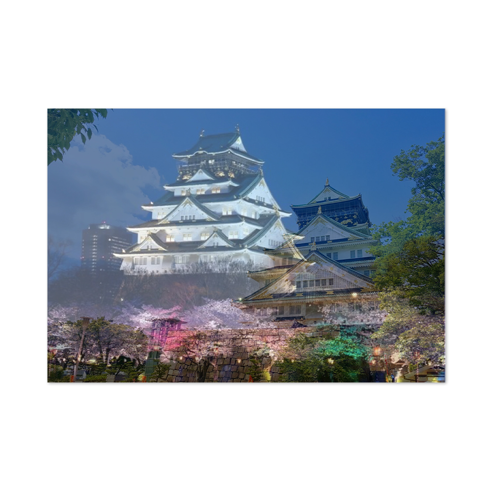 고유진ㅣDifferent Sites-Osaka Castle