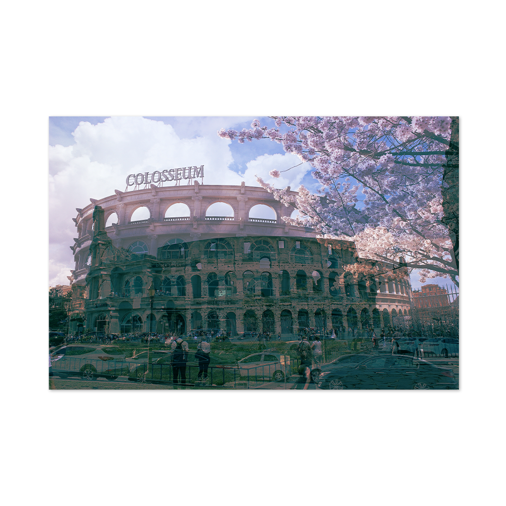 고유진ㅣDifferent Sites-Colosseum