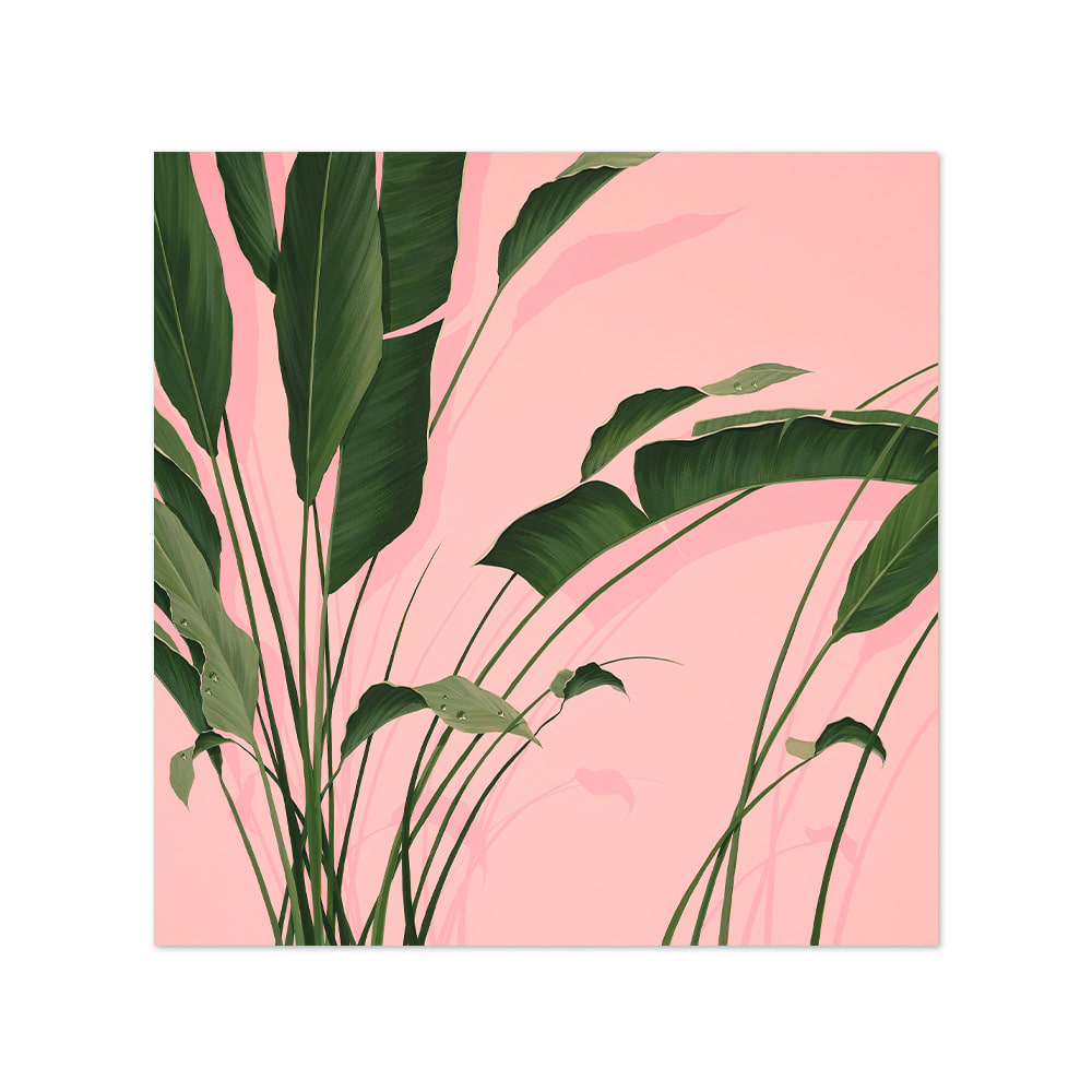 황다연 | Pink plant 7