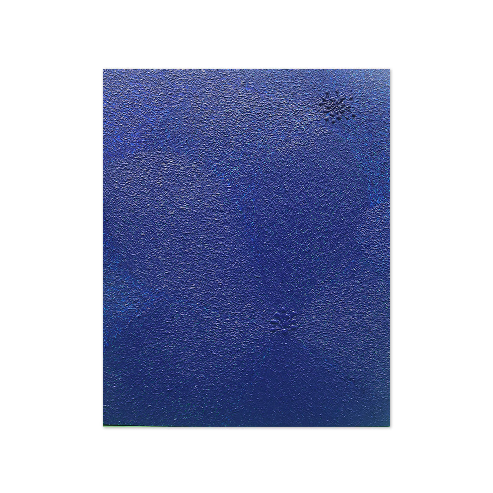 한아름 | 秘密花-Blue1 (l-1)
