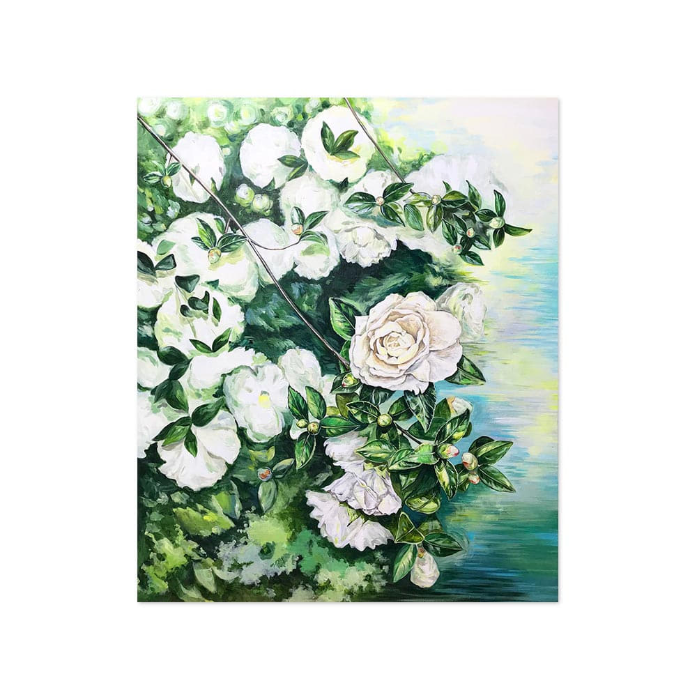 로지숲 | White Camellia