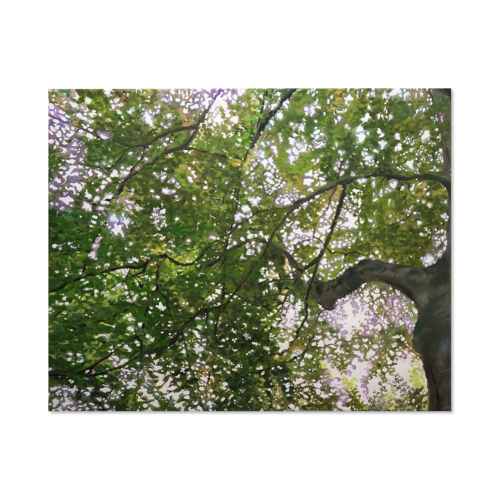 김명진 | 초록 나뭇잎 사이로