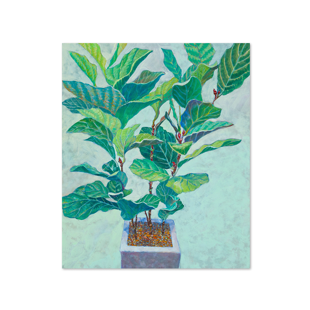 나수민 | 떡갈나무