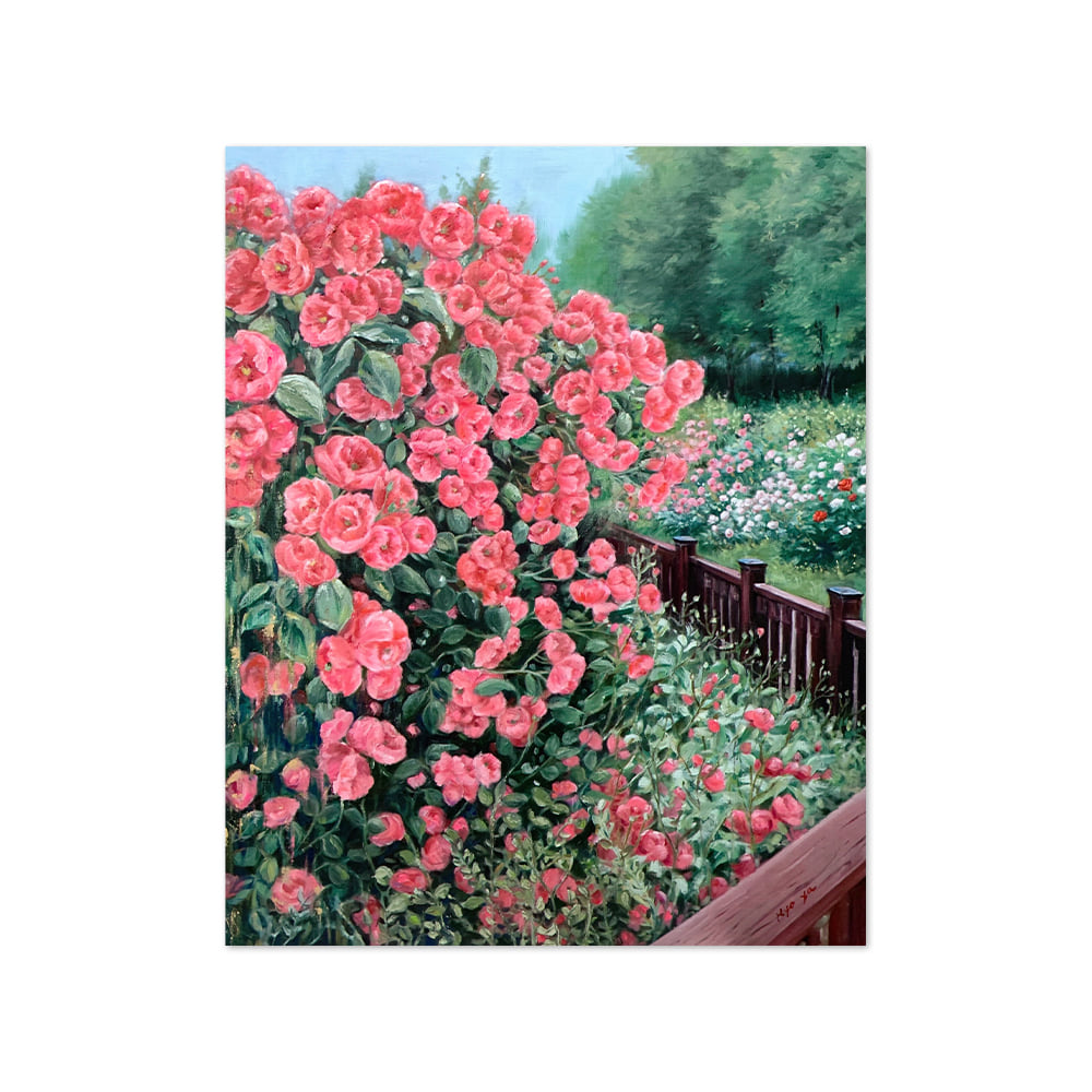 박효진 | Day of roses