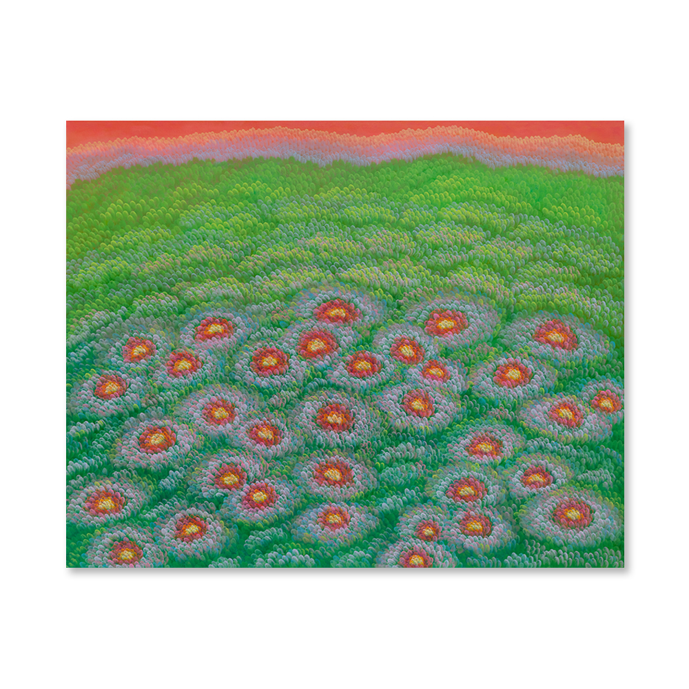 윤겸ㅣRed peony flower field (작약꽃 들판)